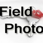 Test fieldphoto