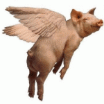 SafeHome Inspection - Pigs Fly - And other real estate tales.