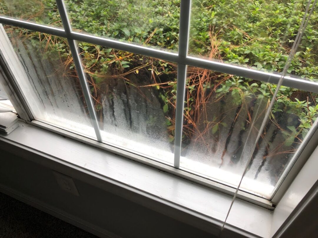 window with condensation present