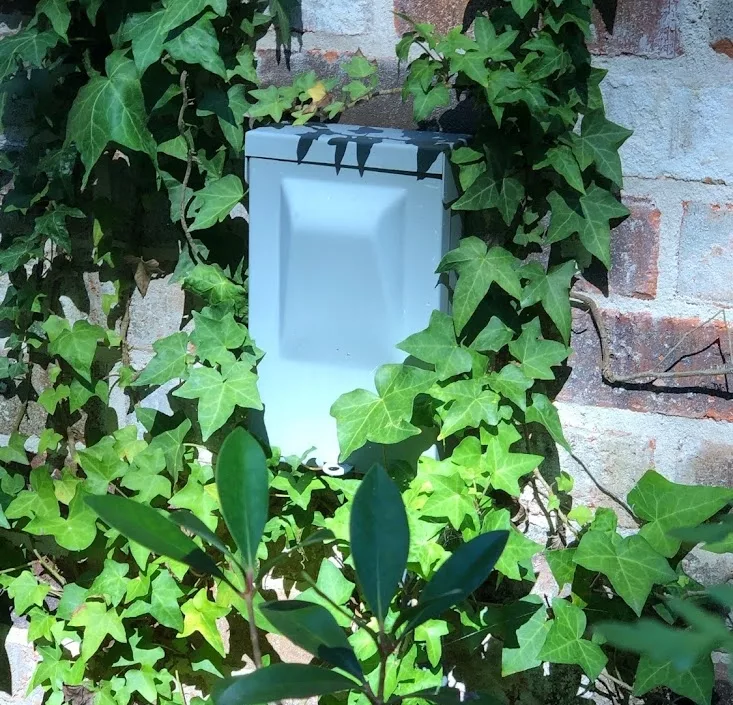 Air conditioner electric disconnect on brick wall covered with Ivy.