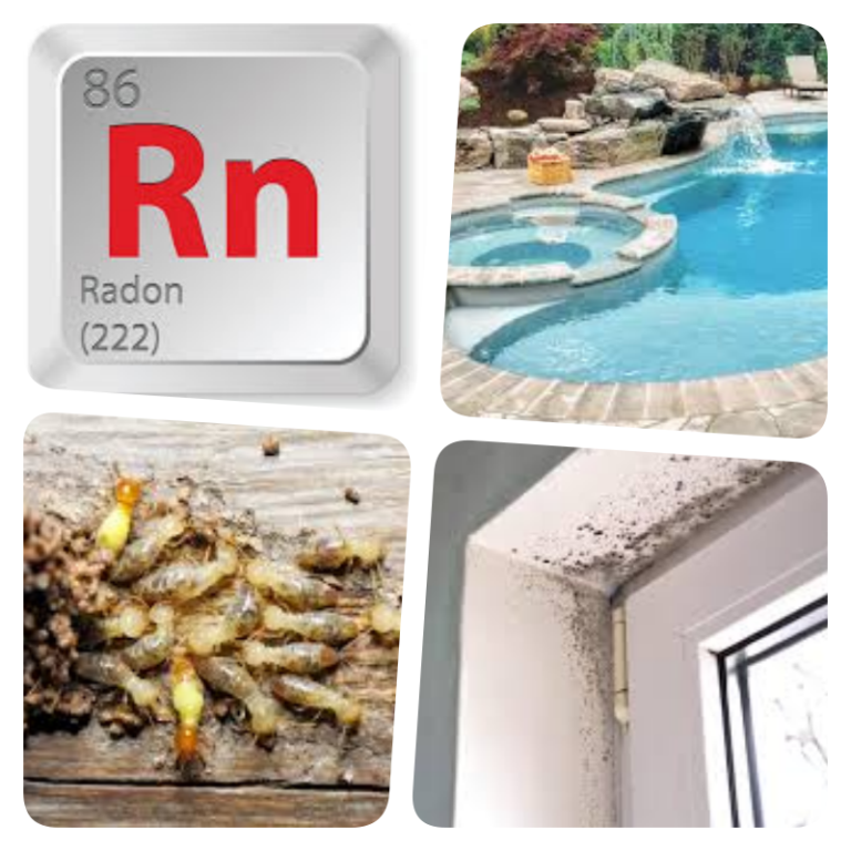 Ancillary Inspections