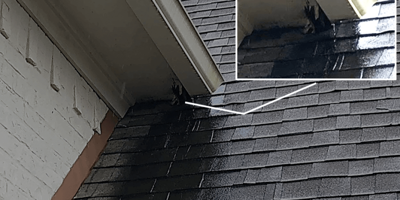 Water damage and mold growth near the corner of a roof.